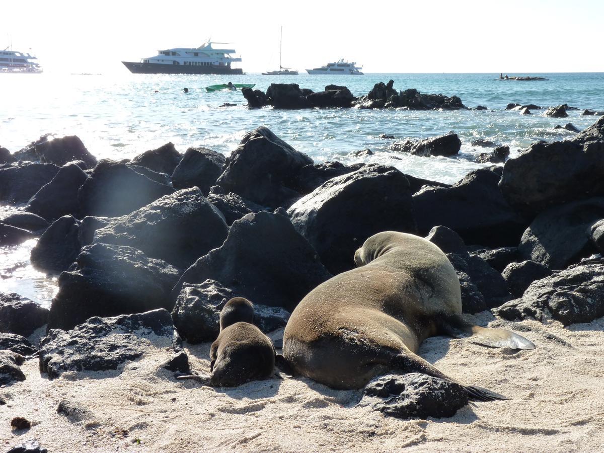 Hostal Nathaly Puerto Baquerizo Moreno Zewnętrze zdjęcie