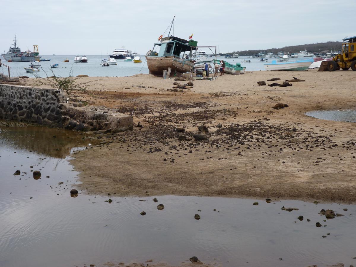 Hostal Nathaly Puerto Baquerizo Moreno Zewnętrze zdjęcie